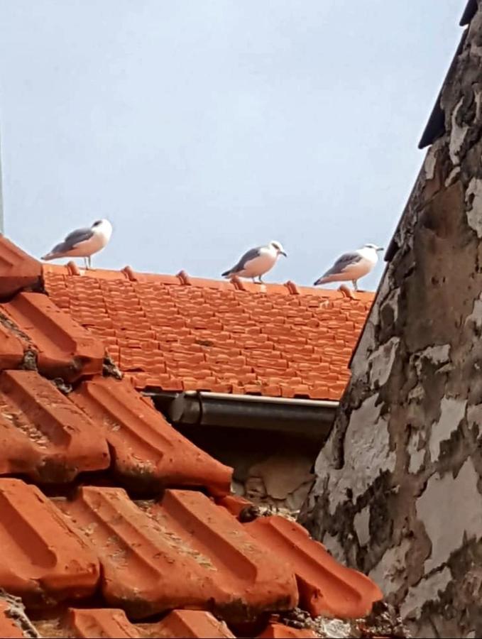 Hvar Heart Heritage Apartment 斯塔里格勒 外观 照片